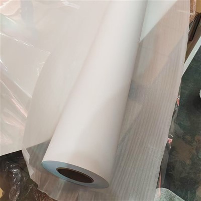 Ecosolvent PP Film